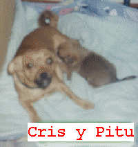 Nuestras mascotas la Cris y la Pitu